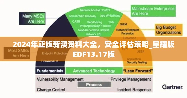 2024年正版新澳資料大全，安全評估策略_星耀版EDF13.17版