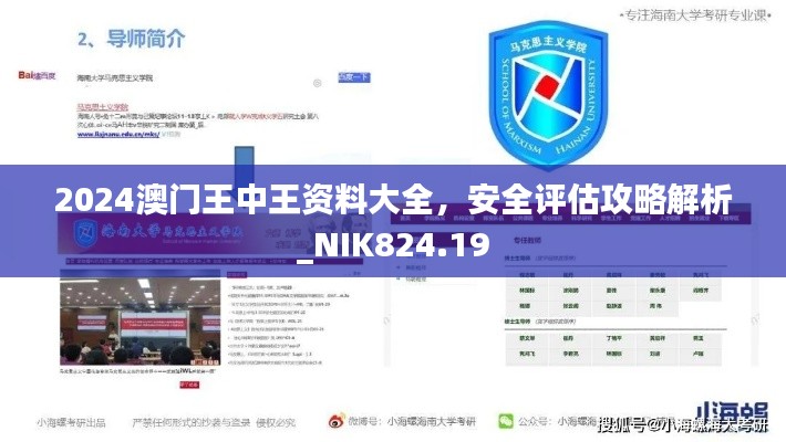 2024澳門王中王資料大全，安全評估攻略解析_NIK824.19