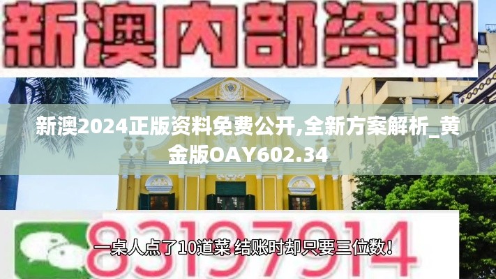 新澳2024正版資料免費(fèi)公開,全新方案解析_黃金版OAY602.34