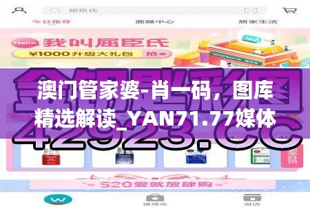 澳門管家婆-肖一碼，圖庫精選解讀_YAN71.77媒體版