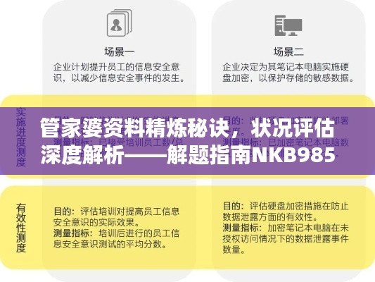 管家婆資料精煉秘訣，狀況評估深度解析——解題指南NKB985.33