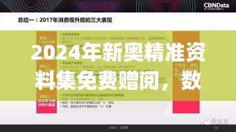 2024年新奧精準(zhǔn)資料集免費(fèi)贈(zèng)閱，數(shù)據(jù)解讀詳盡_授權(quán)版ARV587.79