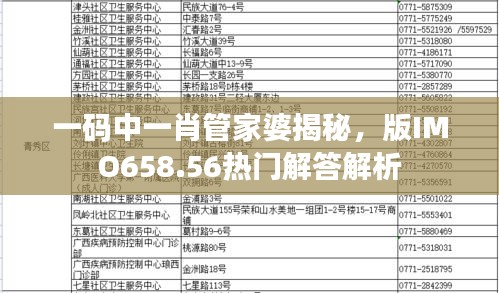 一碼中一肖管家婆揭秘，版IMO658.56熱門(mén)解答解析