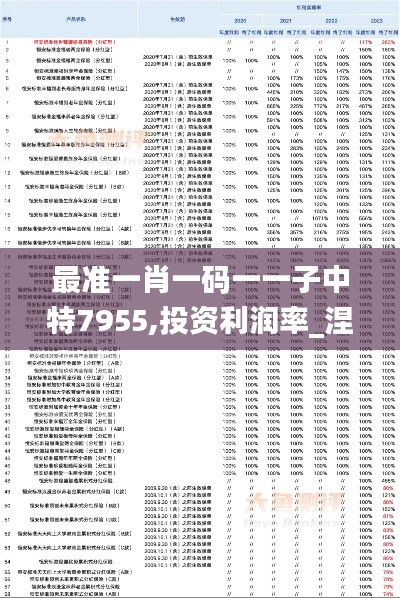 最準(zhǔn)一肖一碼一一子中特7955,投資利潤(rùn)率_涅槃境XRO458.84