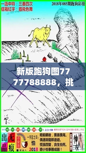 新版跑狗圖7777788888，挑戰(zhàn)TDM565.02資料解析