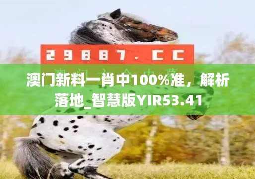 澳門新料一肖中100%準(zhǔn)，解析落地_智慧版YIR53.41