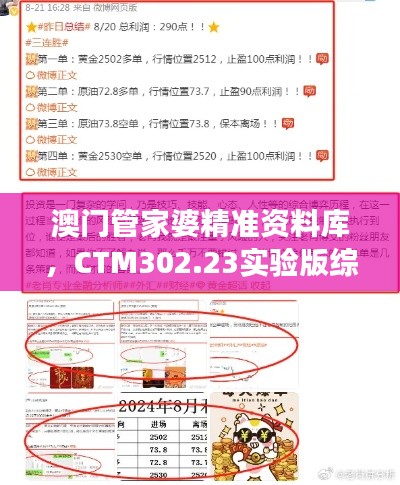 澳門管家婆精準(zhǔn)資料庫，CTM302.23實驗版綜合策略解讀