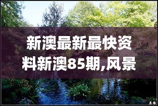 新澳最新最快資料新澳85期,風景園林_WKJ103.96長生境