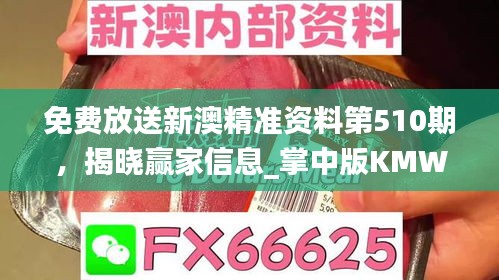 免費放送新澳精準(zhǔn)資料第510期，揭曉贏家信息_掌中版KMW387.73