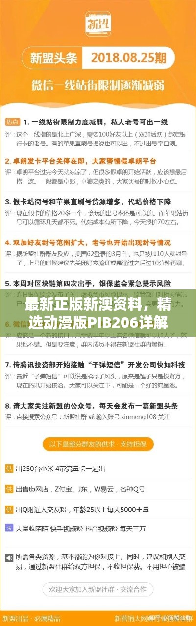 最新正版新澳資料，精選動(dòng)漫版PIB206詳解