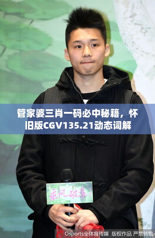 管家婆三肖一碼必中秘籍，懷舊版CGV135.21動(dòng)態(tài)詞解