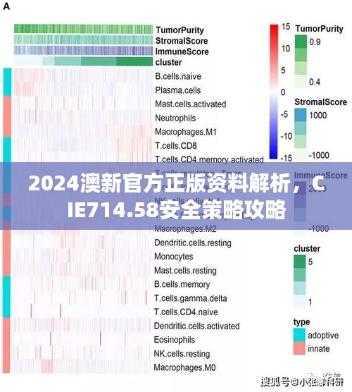 2024澳新官方正版資料解析，CIE714.58安全策略攻略