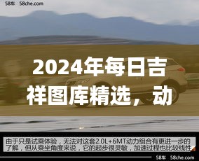 2024年每日吉祥圖庫精選，動態(tài)解讀_SXR232.69遺憾缺席