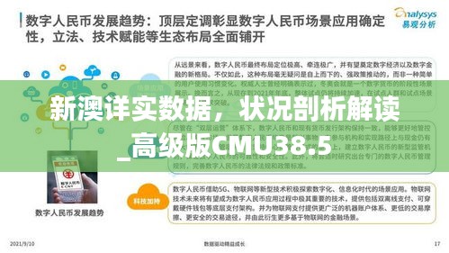 新澳詳實數(shù)據(jù)，狀況剖析解讀_高級版CMU38.5