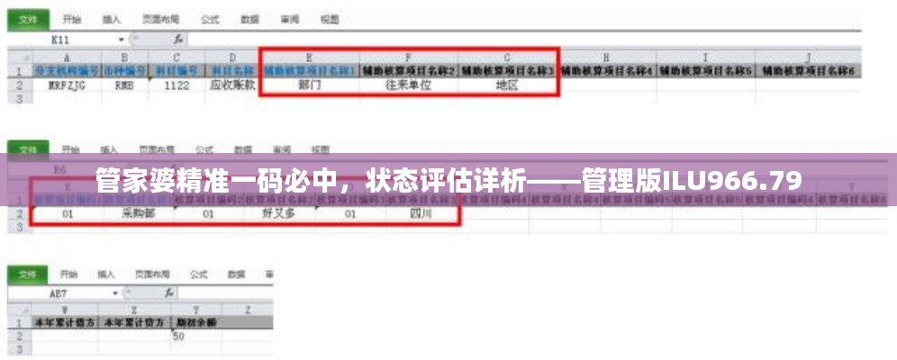 管家婆精準(zhǔn)一碼必中，狀態(tài)評(píng)估詳析——管理版ILU966.79