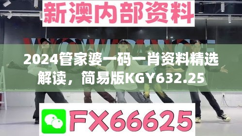 2024管家婆一碼一肖資料精選解讀，簡易版KGY632.25