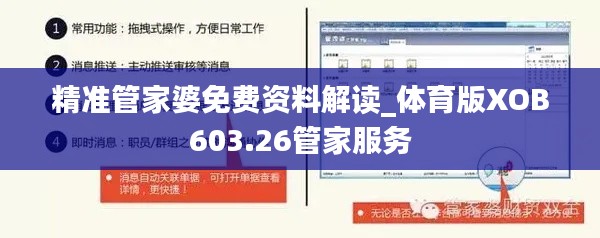 精準管家婆免費資料解讀_體育版XOB603.26管家服務