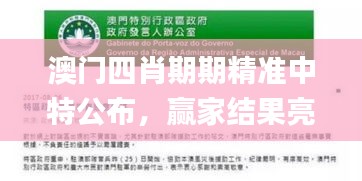 澳門四肖期期精準(zhǔn)中特公布，贏家結(jié)果亮相_新手教程FAG989.56