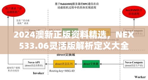 2024澳新正版資料精選，NEX533.06靈活版解析定義大全