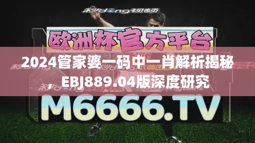 2024管家婆一碼中一肖解析揭秘，EBJ889.04版深度研究