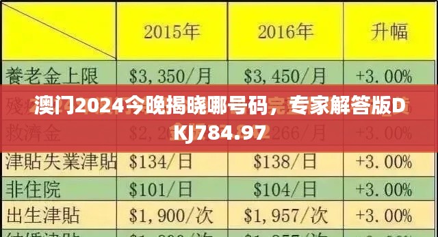 澳門2024今晚揭曉哪號碼，專家解答版DKJ784.97