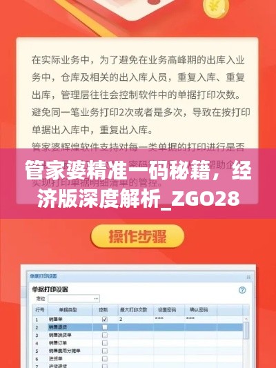 管家婆精準(zhǔn)一碼秘籍，經(jīng)濟版深度解析_ZGO289.56