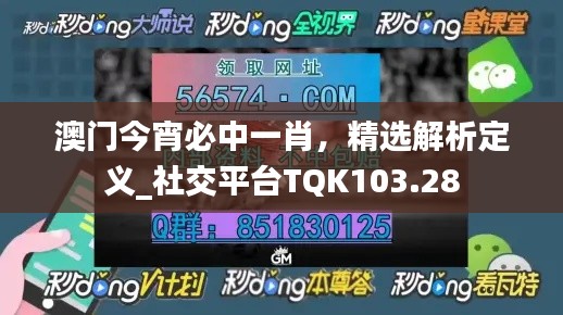 澳門今宵必中一肖，精選解析定義_社交平臺TQK103.28