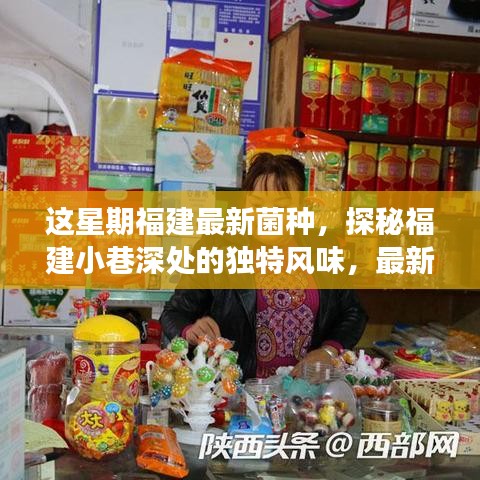 福建小巷深處的獨(dú)特風(fēng)味，最新菌種小店之旅探秘記