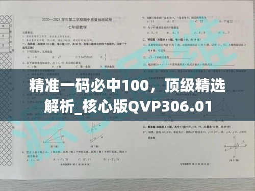 精準(zhǔn)一碼必中100，頂級(jí)精選解析_核心版QVP306.01