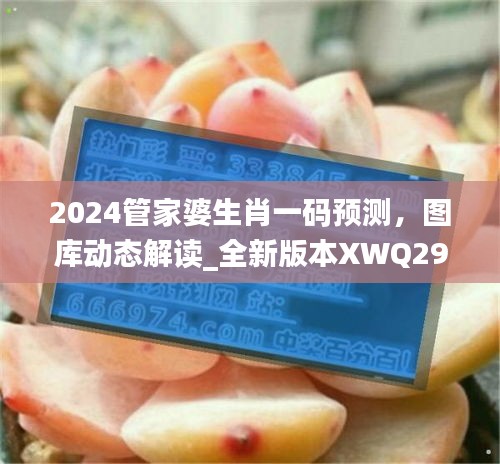 2024管家婆生肖一碼預(yù)測(cè)，圖庫(kù)動(dòng)態(tài)解讀_全新版本XWQ290.47