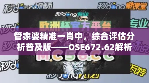 管家婆精準(zhǔn)一肖中，綜合評(píng)估分析普及版——OSE672.62解析