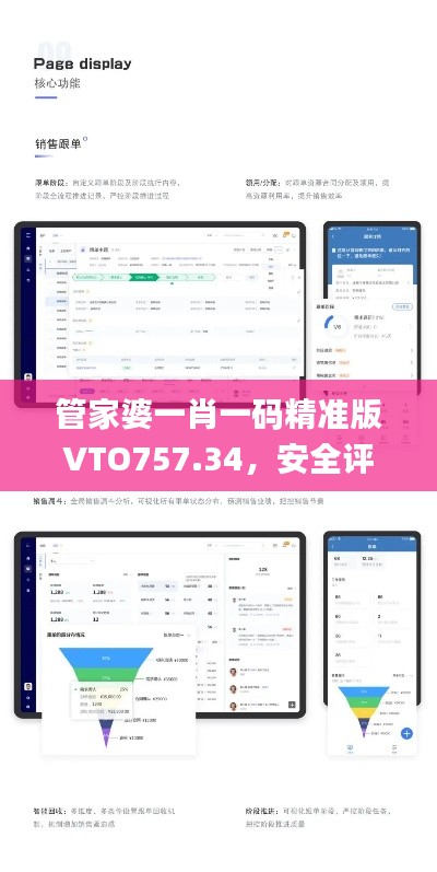 管家婆一肖一碼精準(zhǔn)版VTO757.34，安全評估策略方案_尊享付費版