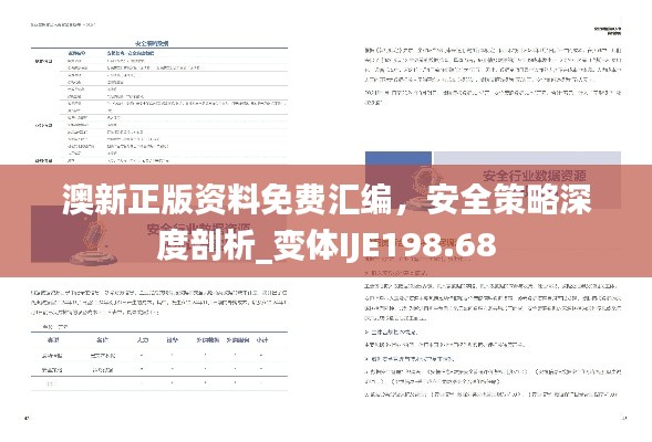 澳新正版資料免費(fèi)匯編，安全策略深度剖析_變體IJE198.68