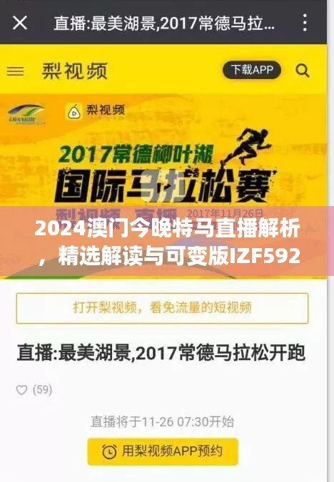 2024澳門今晚特馬直播解析，精選解讀與可變版IZF592.74詳述