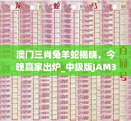 澳門三肖兔羊蛇揭曉，今晚贏家出爐_中級版JAM324.11