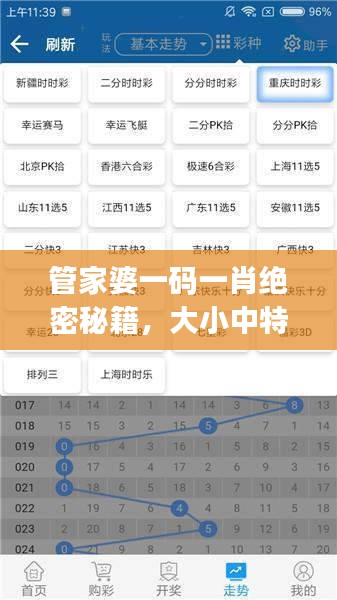 管家婆一碼一肖絕密秘籍，大小中特精準(zhǔn)解析，JRW112.88編程版最新解讀
