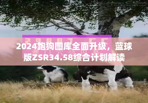 2024跑狗圖庫(kù)全面升級(jí)，藍(lán)球版ZSR34.58綜合計(jì)劃解讀