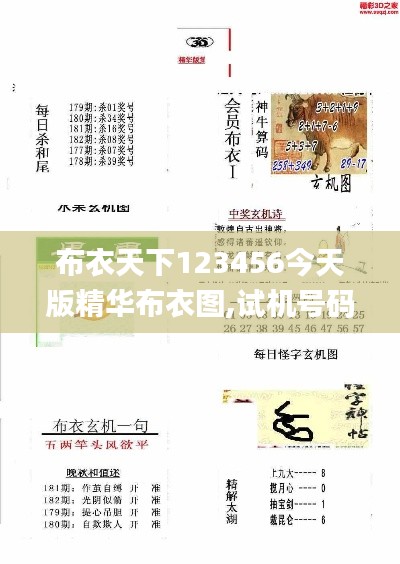 布衣天下123456今天版精華布衣圖,試機(jī)號(hào)碼,電網(wǎng)規(guī)劃發(fā)展目標(biāo)_極限版ZXJ738.92