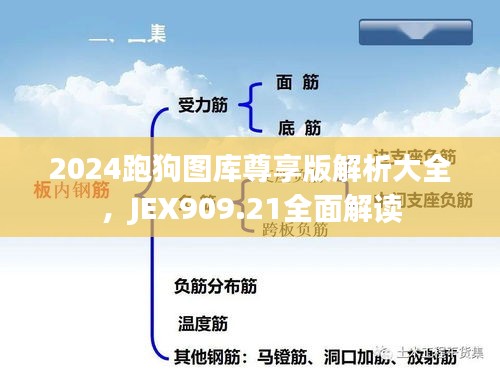 2024跑狗圖庫尊享版解析大全，JEX909.21全面解讀