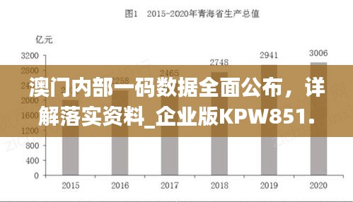 澳門內(nèi)部一碼數(shù)據(jù)全面公布，詳解落實資料_企業(yè)版KPW851.07