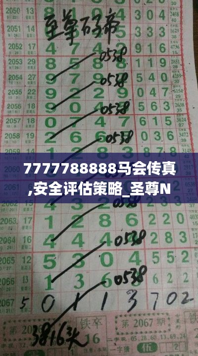 7777788888馬會(huì)傳真,安全評(píng)估策略_圣尊NSP986.05