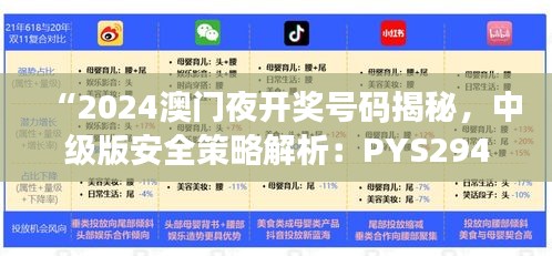 “2024澳門夜開獎(jiǎng)號(hào)碼揭秘，中級(jí)版安全策略解析：PYS294.03”