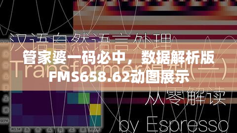 管家婆一碼必中，數(shù)據(jù)解析版FMS658.62動(dòng)圖展示