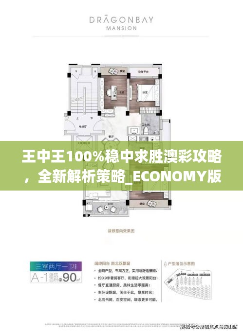 王中王100%穩(wěn)中求勝澳彩攻略，全新解析策略_ECONOMY版ANL510.67