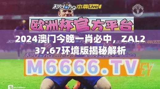 2024澳門(mén)今晚一肖必中，ZAL237.67環(huán)境版揭秘解析