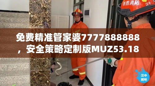 免費精準管家婆7777888888，安全策略定制版MUZ53.18評估服務