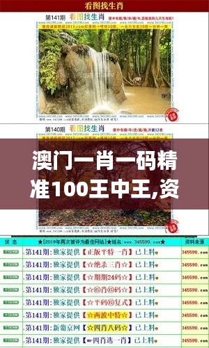 澳門一肖一碼精準100王中王,資料匯編權(quán)威解讀_魔力版WQE666.32