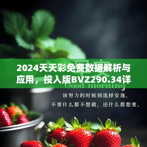 2024天天彩免費數(shù)據(jù)解析與應(yīng)用，投入版BVZ290.34詳述