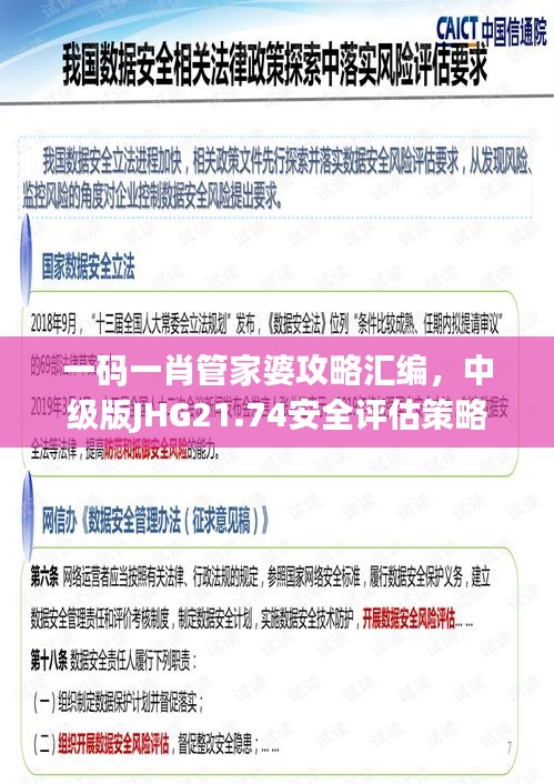 一碼一肖管家婆攻略匯編，中級版JHG21.74安全評估策略