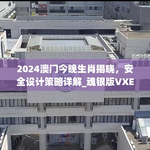 2024澳門(mén)今晚生肖揭曉，安全設(shè)計(jì)策略詳解_魂銀版VXE642.92